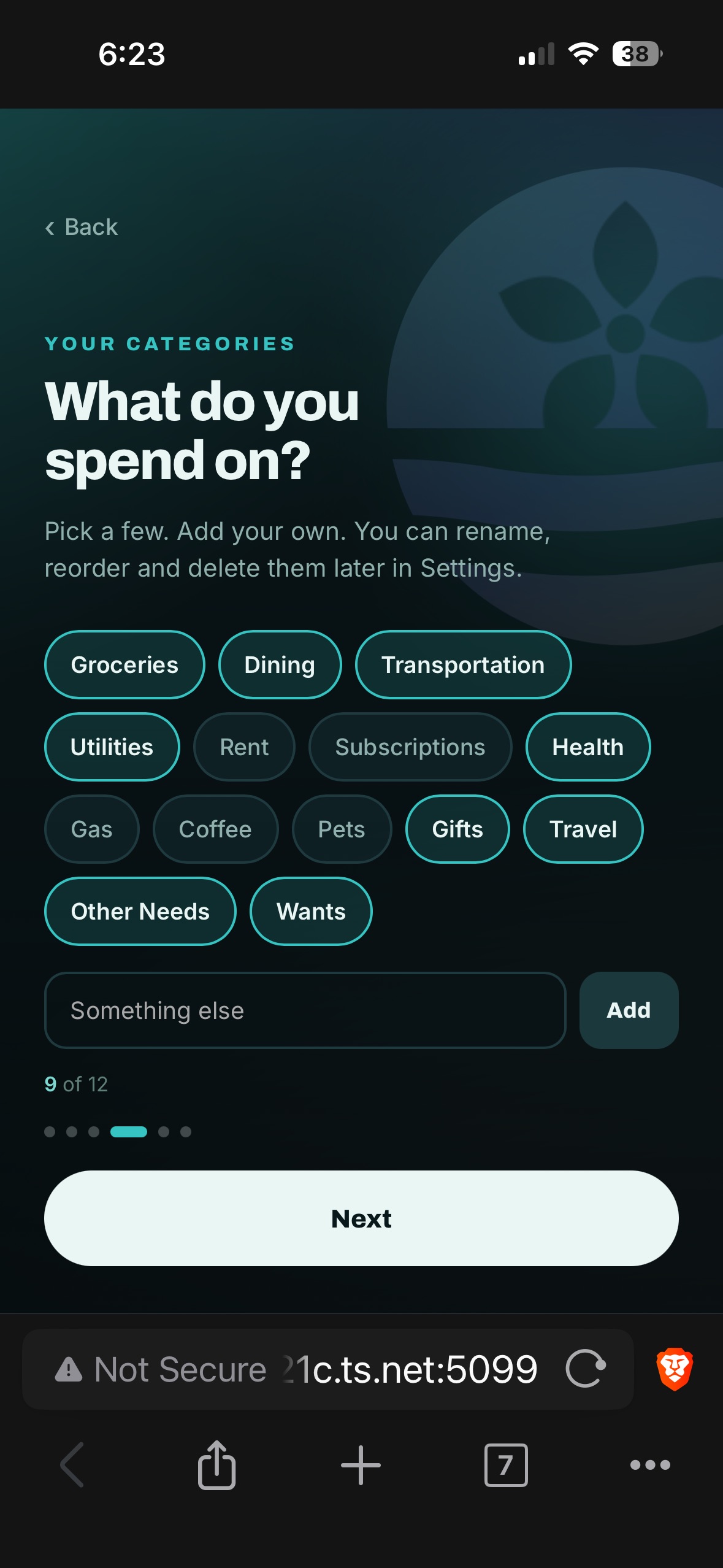 Onboarding — choosing spending categories from a set of suggestions.