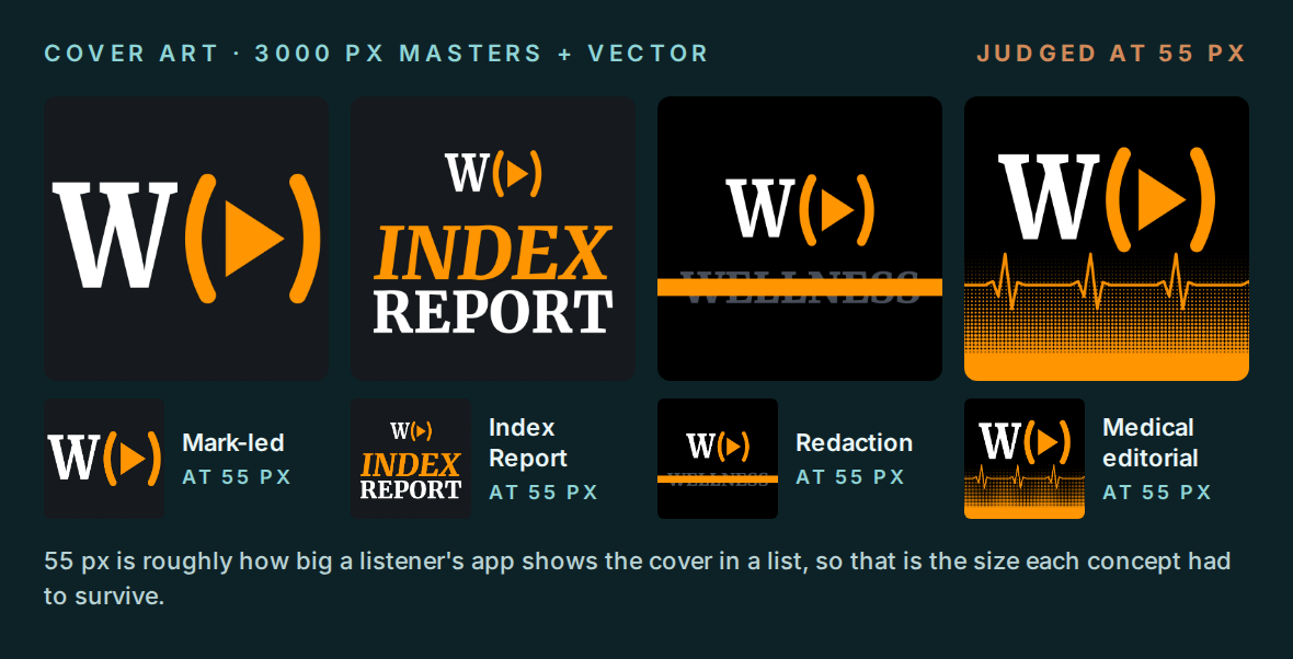 Four cover art concepts shown large and at 55 px: mark-led, Index Report, redaction, and medical editorial.